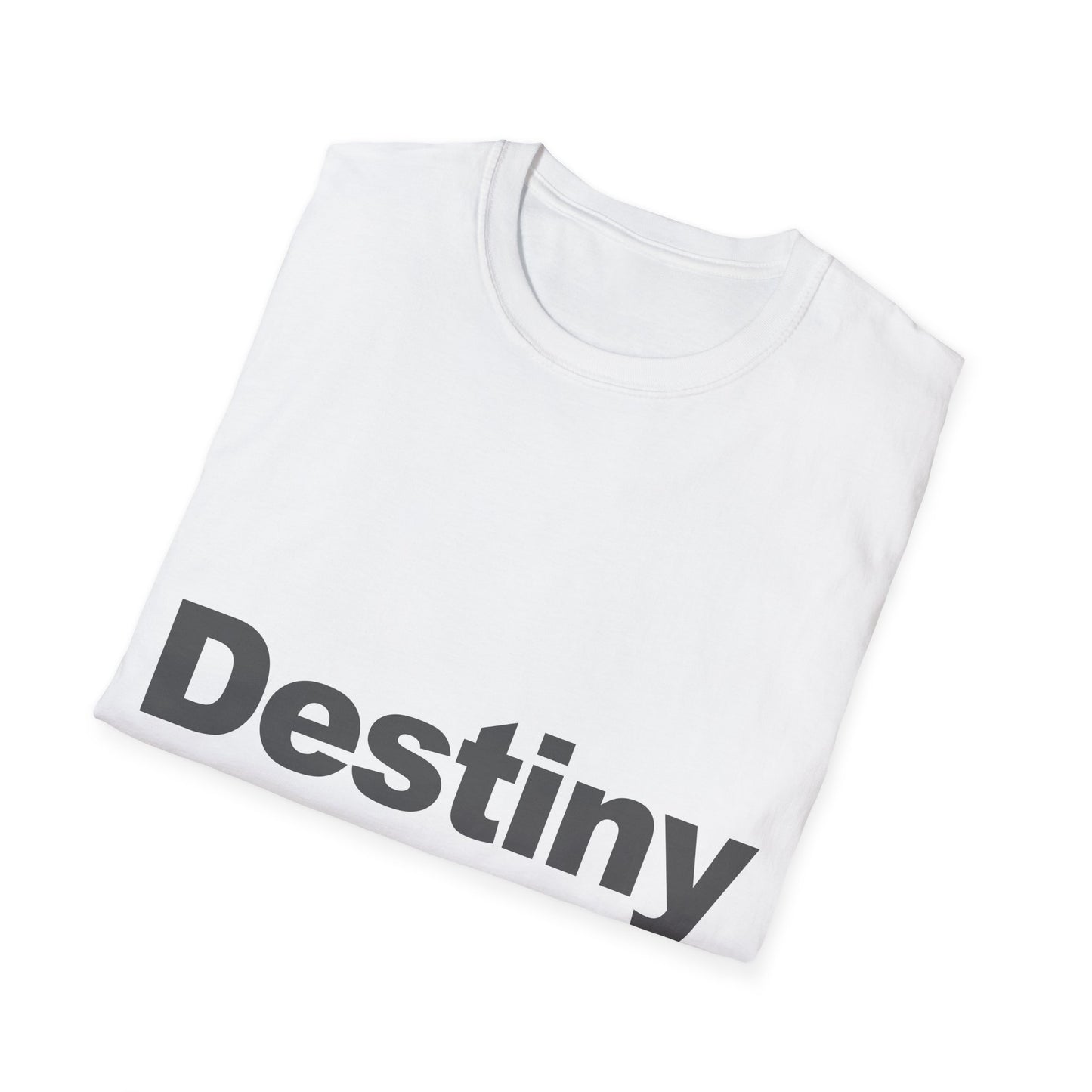 Subscribe to Destiny